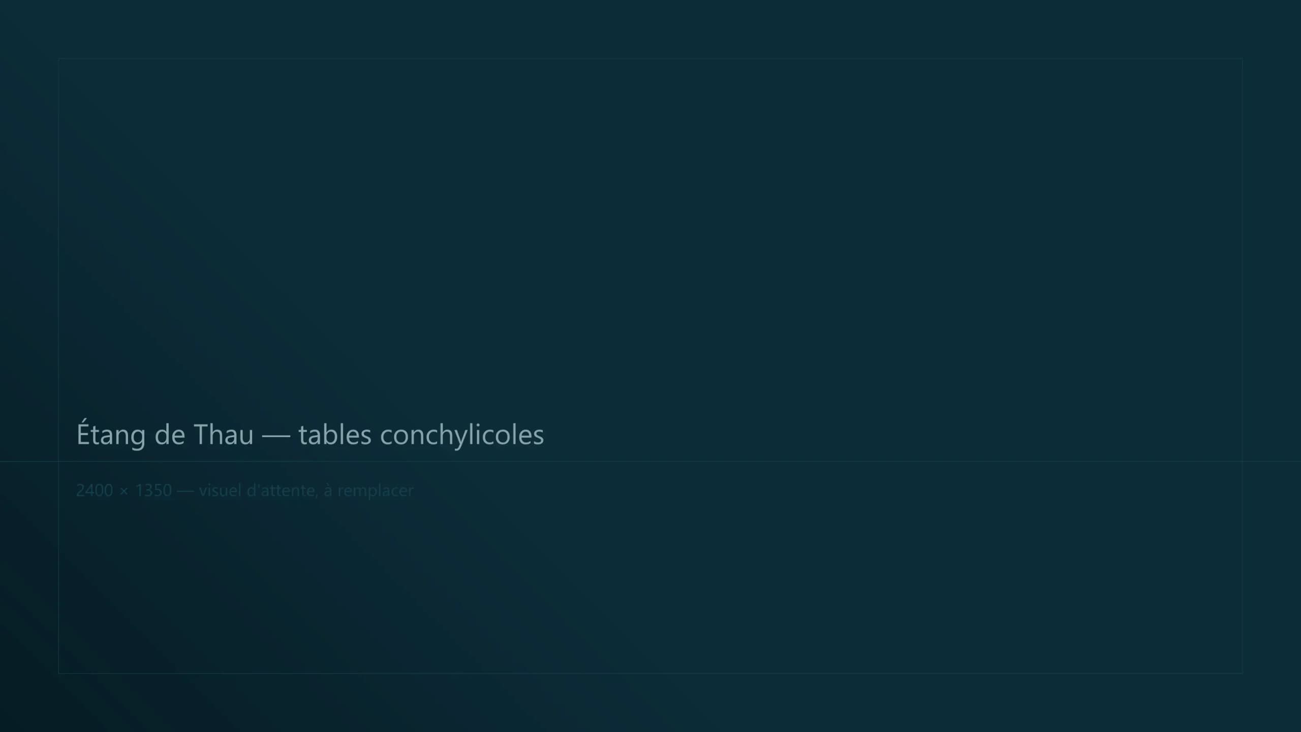 Étang de Thau — tables conchylicoles