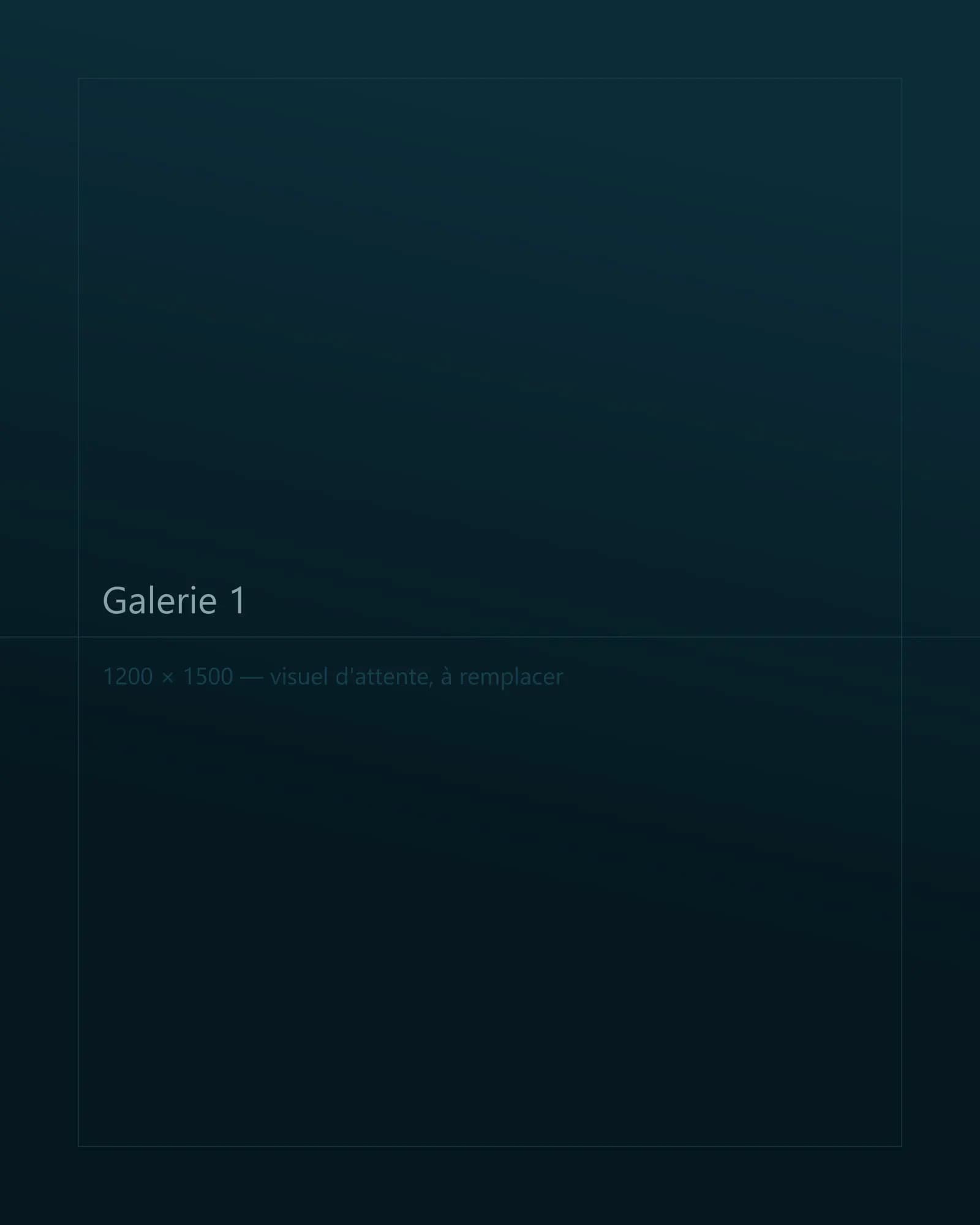 Galerie 1
