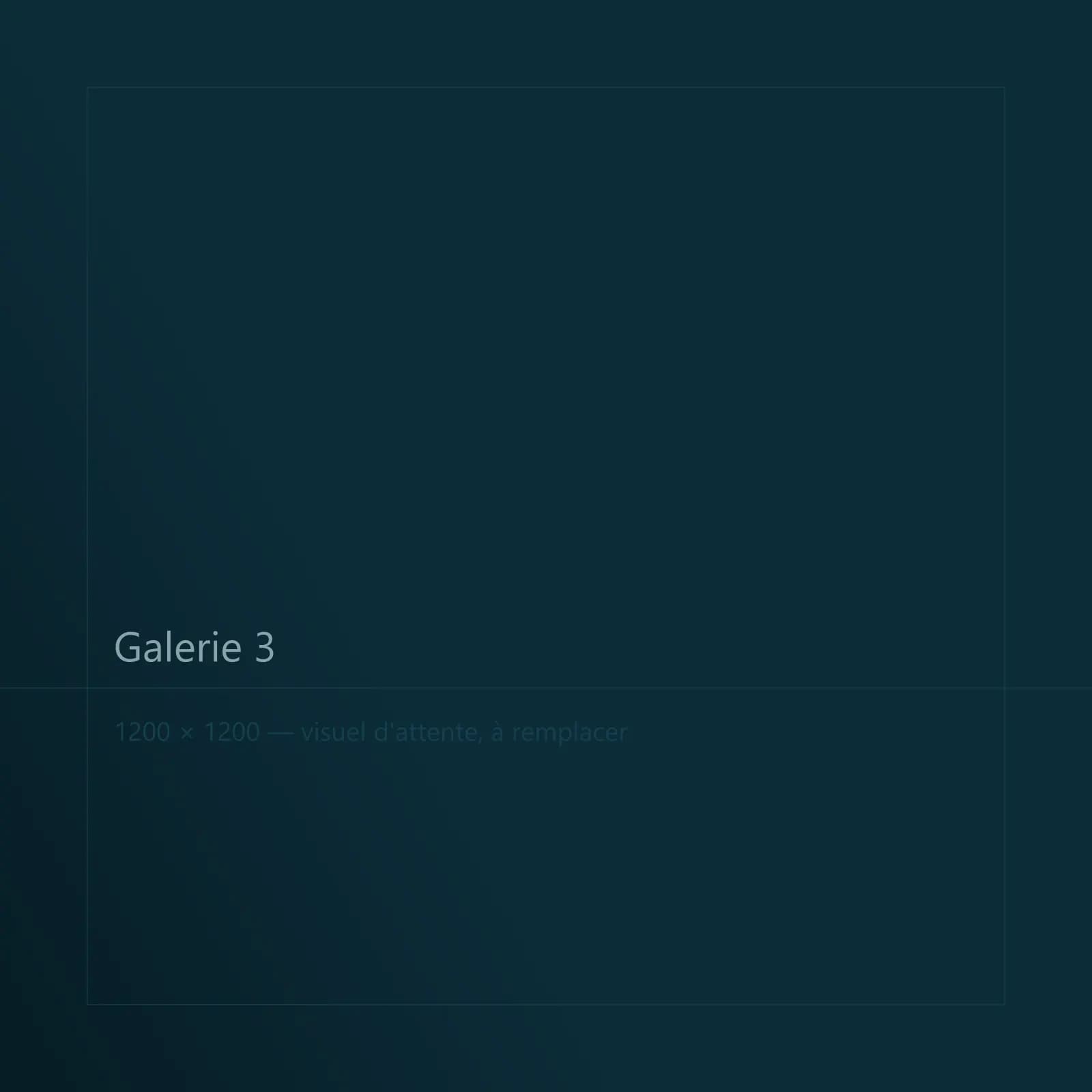 Galerie 3