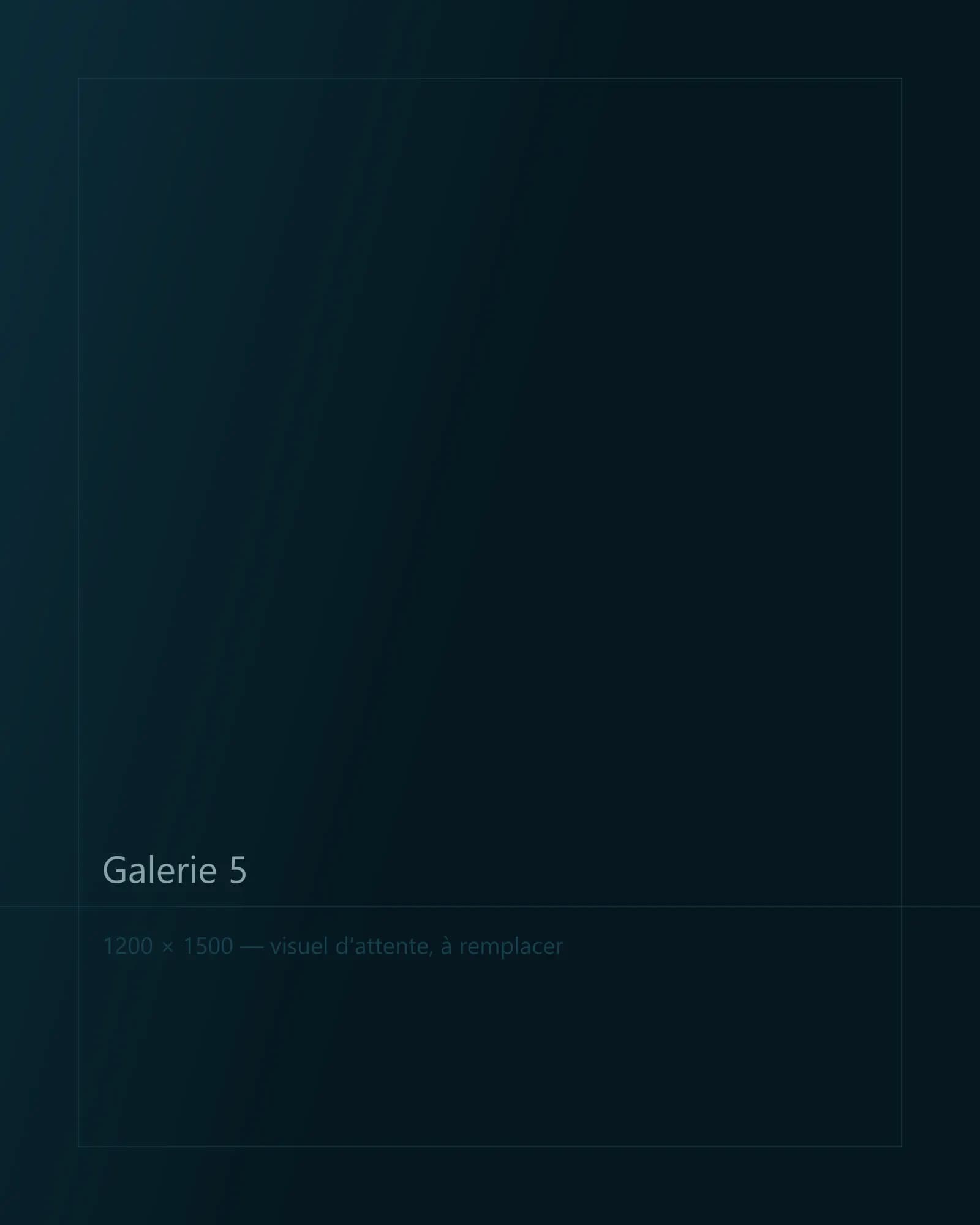 Galerie 5