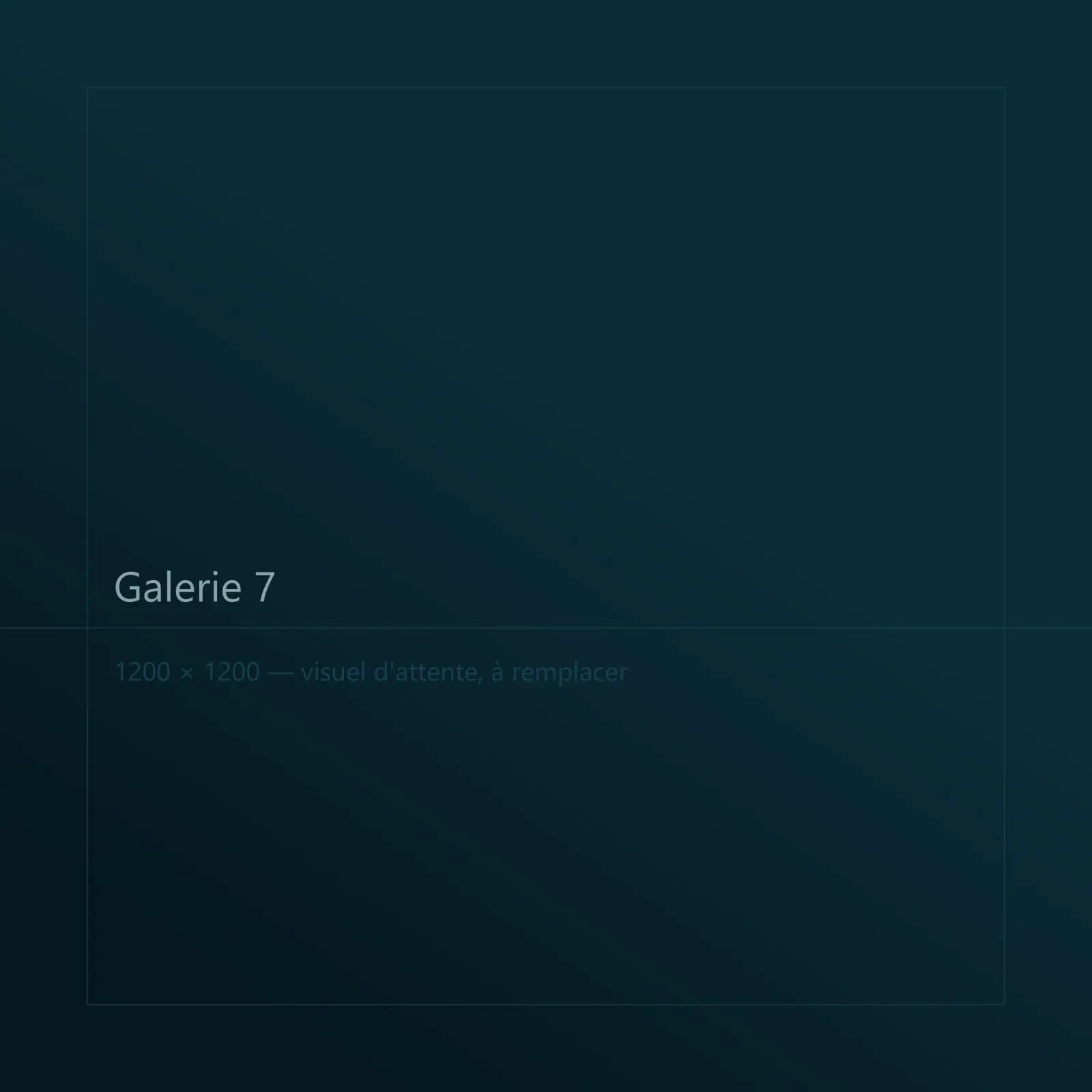 Galerie 7